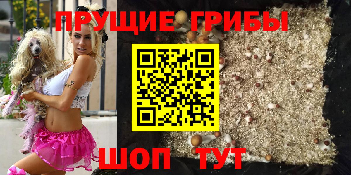 Псилоцибиновые грибы мухоморы Москва